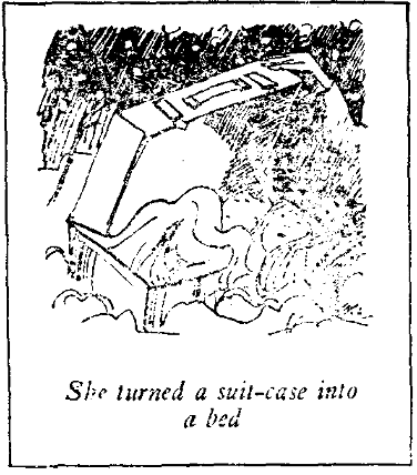 Illustration